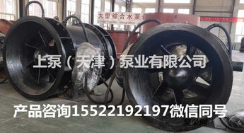 臥式全貫流泵在福建武夷山潛水貫流泵廠(chǎng)家的應(yīng)用與發(fā)展